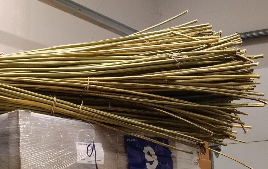 hemp stalks