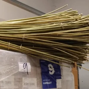 Dry Hemp Stalks